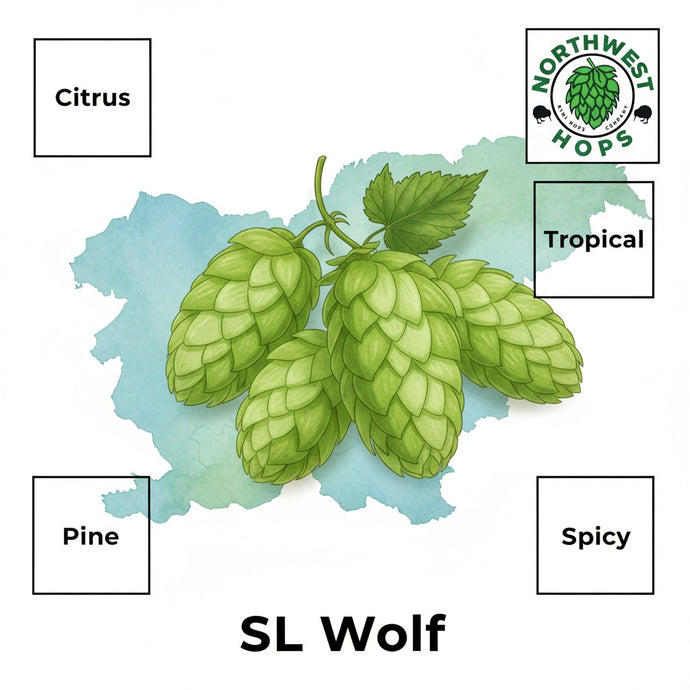 2022 SL Wolf Hop Pellets – Slovenian Floral & Citrus Aroma Hops | Northwest Hops