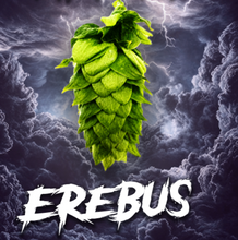 2024 US Erebus (HS16660) T90 Hop Pellets