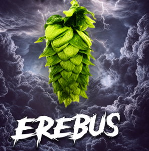 2024 US Erebus (HS16660) T90 Hop Pellets