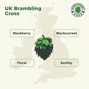 2024 UK Bramling Cross T90 Hop Pellets