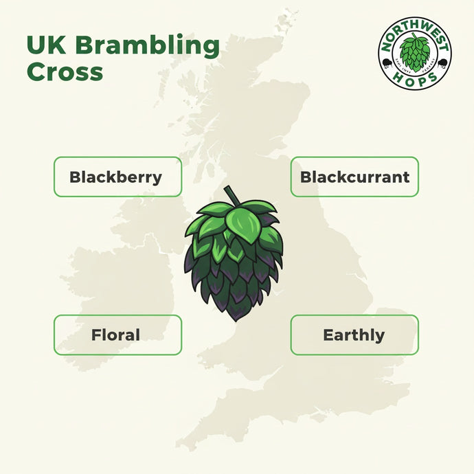 2024 UK Bramling Cross T90 Hop Pellets