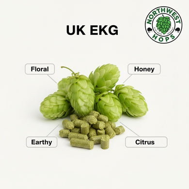 2024 UK East Kent Golding (EKG) T90 Hop Pellets
