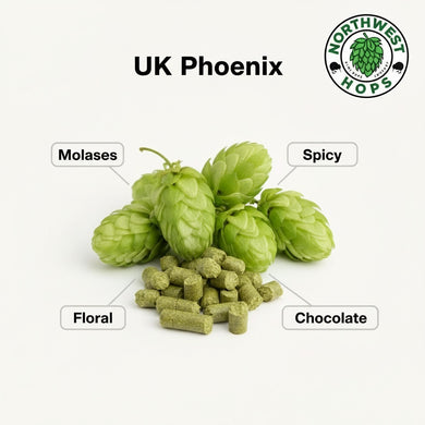 2024 UK Phoenix T90 Hop Pellets