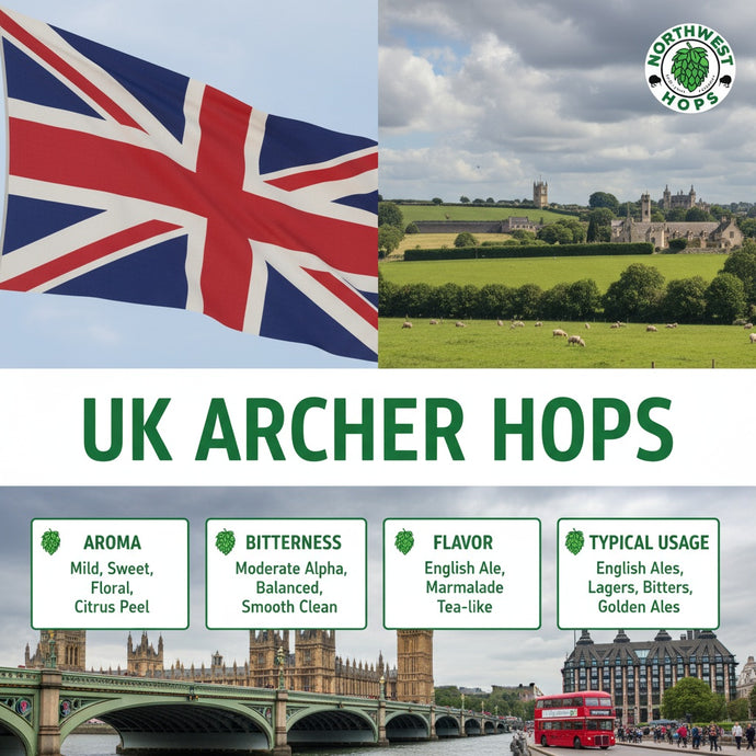 2022 UK Archer Hop Pellets – UK Citrus & Herbal Aroma Hops | Northwest Hops