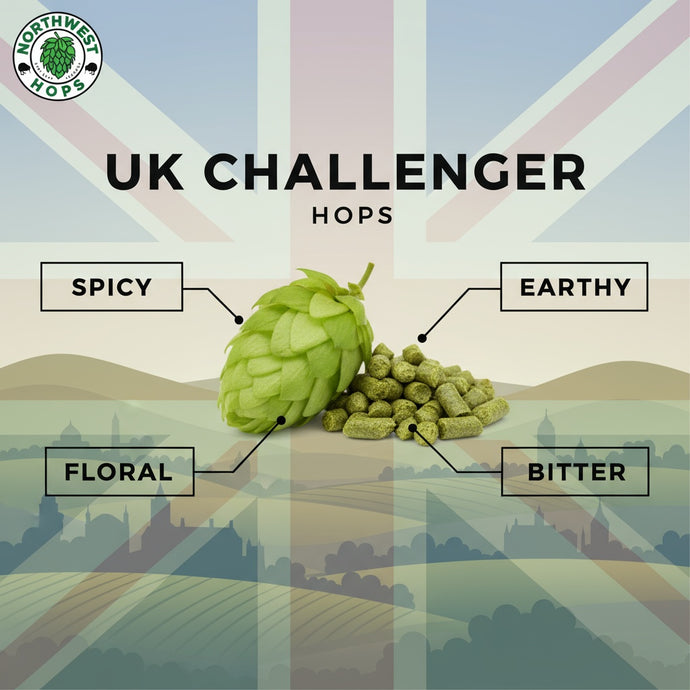 2024 UK Challenger Hop Pellets – UK Floral, Spice & Citrus Aroma Hops | Northwest Hops
