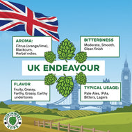 Endeavour Hop Pellets 2022 – UK Citrus & Pine Aroma Hops