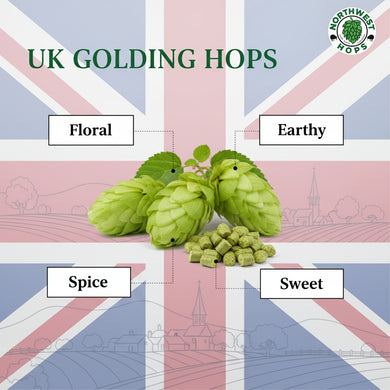 2024 UK Golding Hop Pellets – UK Mild Floral & Earthy Aroma Hops | Northwest Hops