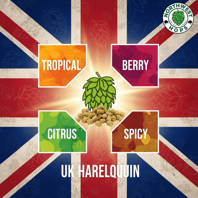 2024 UK Harlequin Hop Pellets – UK Tropical & Stone Fruit Aroma Hops | Northwest Hops