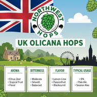 Olicana Hop Pellets 2025 – UK Citrus & Tropical Aroma Hops