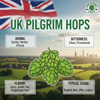 2021 UK Pilgrim Hop Pellets – UK Citrus & Floral Aroma Hops | Northwest Hops