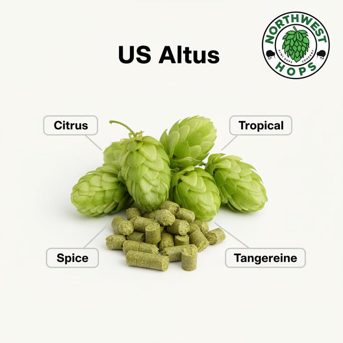 2024 US Altus T90 Hop Pellets – US Orange, Spice & Dank Aroma Hops | Northwest Hops