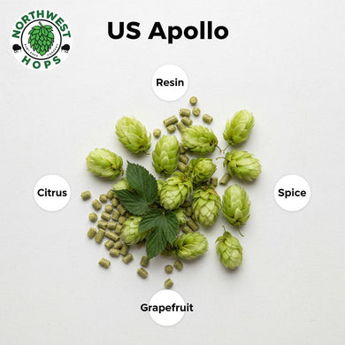 2020 US Apollo T90 Hop Pellets