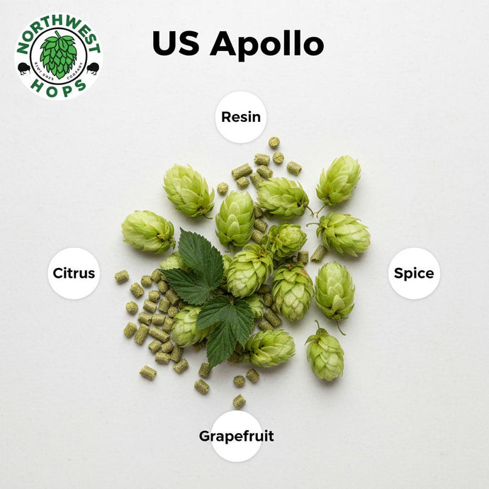 2020 US Apollo T90 Hop Pellets