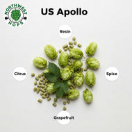 Apollo Hop Pellets 2023 – US Resin, Citrus & Spice Aroma Hops