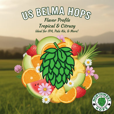 2024 US Belma™ T90 Hop Pellets