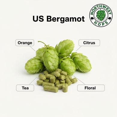 2024 US Bergamot™ T90 Hop Pellets