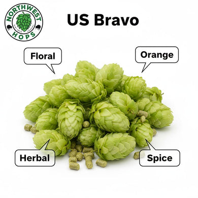 2024 US Bravo T90 Hop Pellets