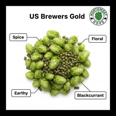 2024 US Brewers Gold T90 Hop Pellets