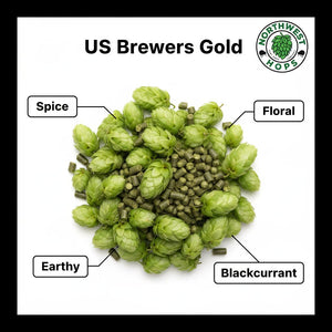 2024 US Brewers Gold T90 Hop Pellets