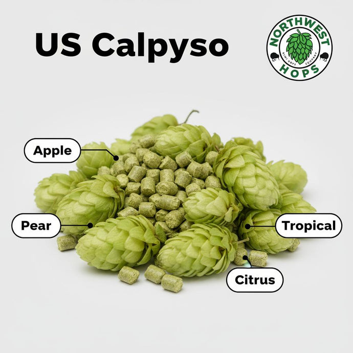 2024 US Calypso T90 Hop Pellets