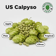 Calypso Hop Pellets 2025 – US Apple, Pear & Citrus Aroma Hops