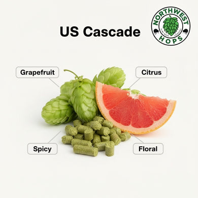 2024 US Cascade T90 Hop Pellets