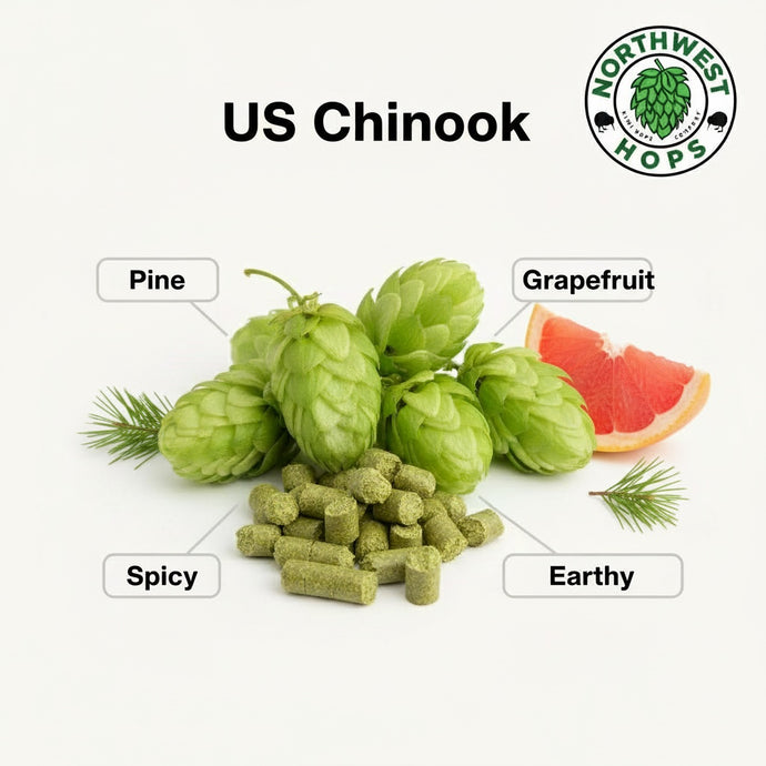 2025 US Chinook Hop Pellets – American Pine & Spice Aroma Hops | Northwest Hops