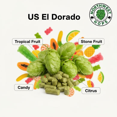 2024 US El Dorado T90 Hop Pellets