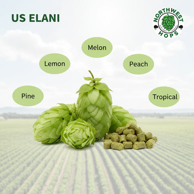 2024 US Elani (YQH-1320) T90 Hop Pellets
