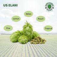 Elani T90 Hop Pellets 2025 – US Citrus & Sweet Fruit Aroma Hops