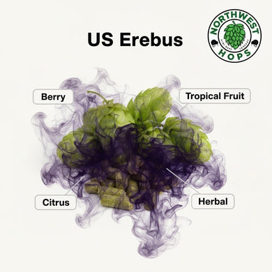2024 US Erebus (HS16660) T90 Hop Pellets