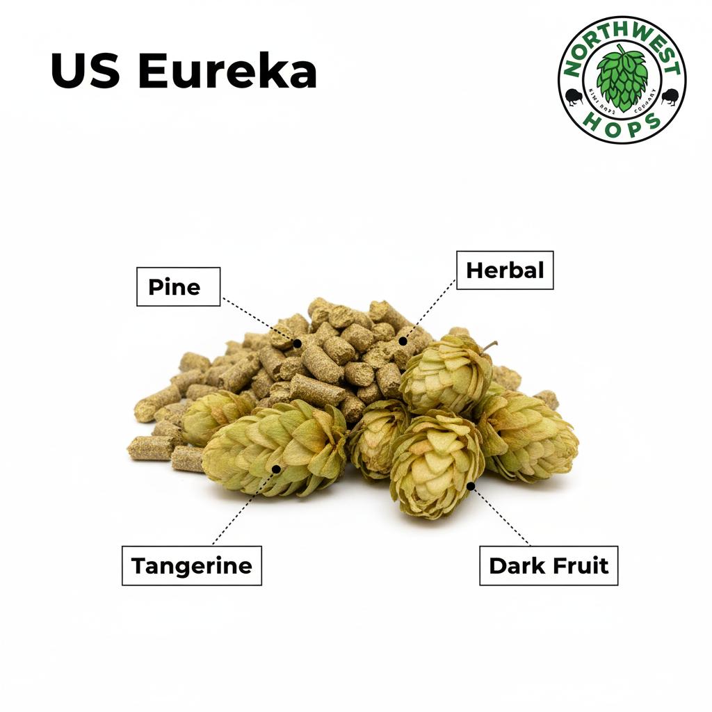 2024 US Eureka Hops – Dark Berry, Pine & Herbal Aroma | Northwest Hops