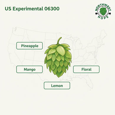 2024 US Experimental #06300 T90 Hop Pellets