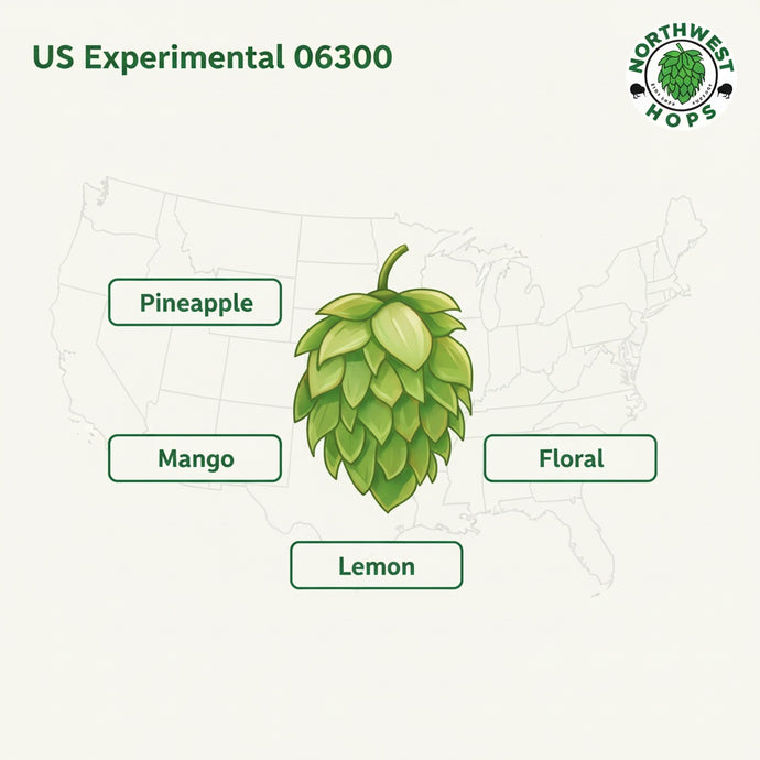 2024 US Experimental #06300 Hop Pellets – US Tropical & Stone Fruit Aroma Hops | Northwest Hops