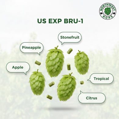 2024 US Experimental Bru-1™ T90 Hop Pellets