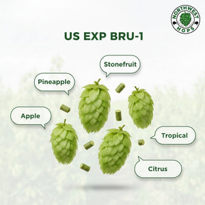 2024 US Experimental Bru-1™ T90 Hop Pellets