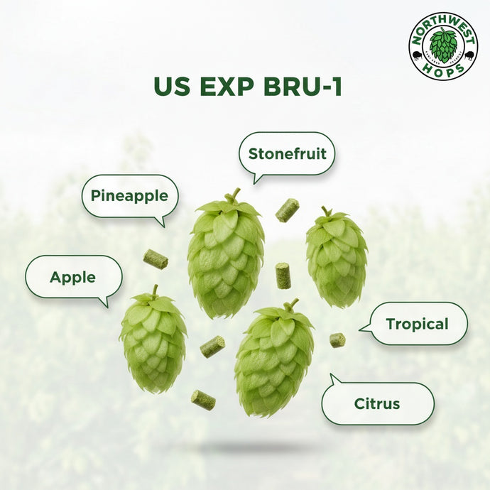 2024 US Experimental Bru-1™ T90 Hop Pellets