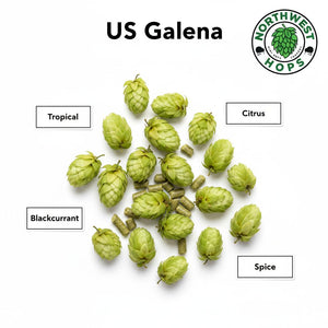2024 US Galena T90 Hop Pellets