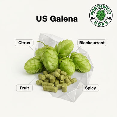 2024 US Galena T90 Hop Pellets