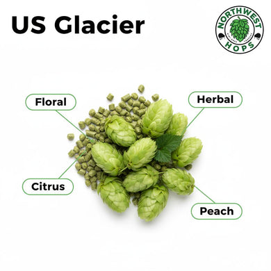 2024 US Glacier