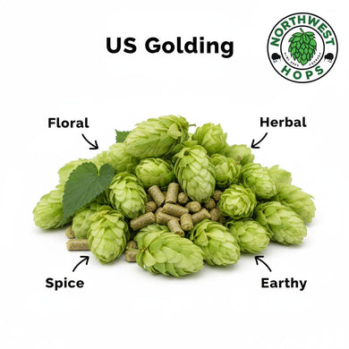 2024 US Golding T90 Hop Pellets