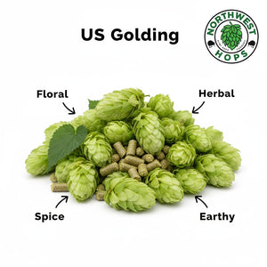 2024 US Golding T90 Hop Pellets