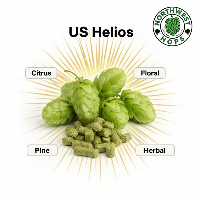 2024 US Helios™ Hop Pellets – US Bright Citrus & Herbal Aroma Hops | Northwest Hops