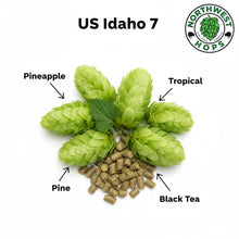 2024 US Idaho 7 T90 Hop Pellets