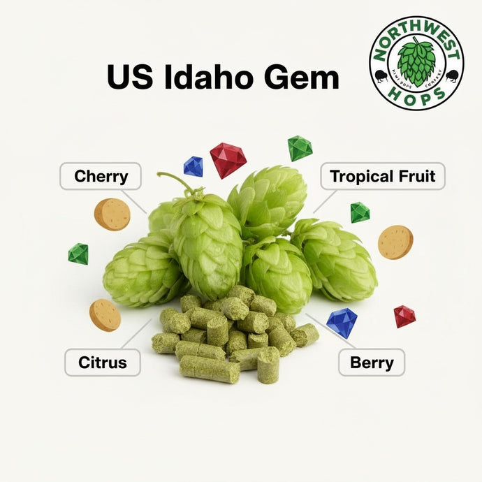 2024 US Idaho Gem T90 Hop Pellets