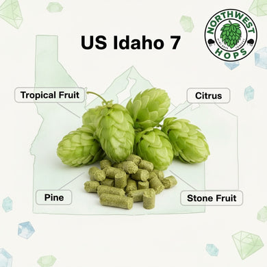 2024 US Idaho 7 T90 Hop Pellets