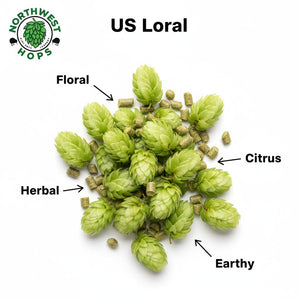 2024 US Loral T90 Hop Pellets