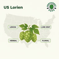 Lorien Hop Pellets 2023 – US Floral & Citrus Aroma Hops