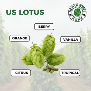 2024 US Lotus T90 Hop Pellets