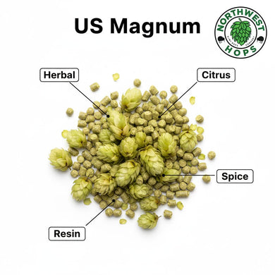 2024 US Magnum T90 Hop Pellets